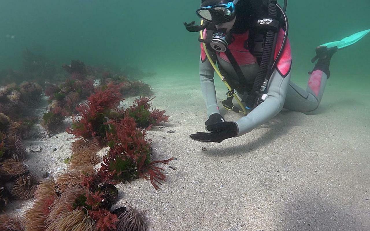 Casinas Marineiras Villa Portosin Dış mekan fotoğraf
